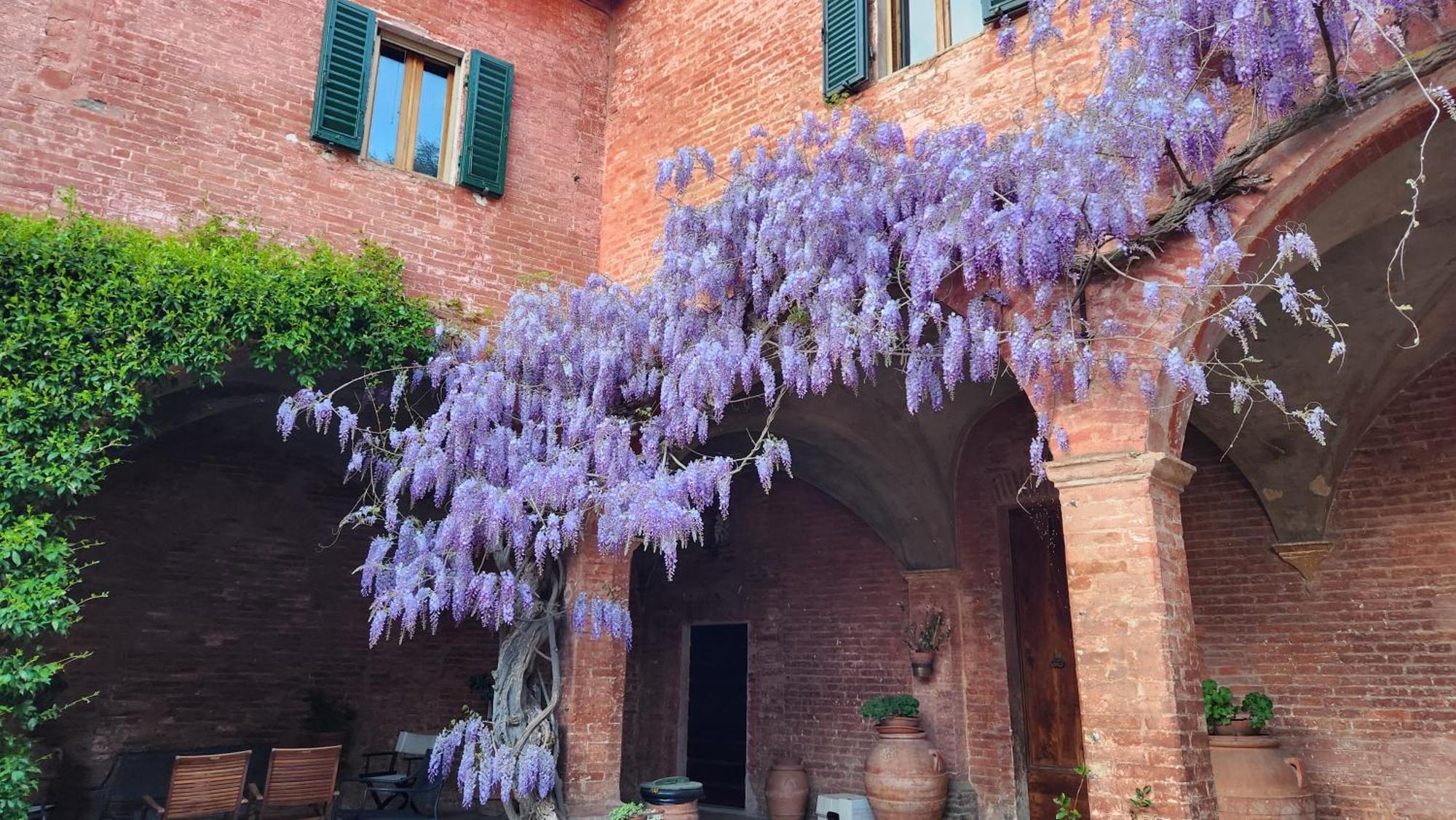Al Glicine Di Sant'Abondio Villa Siena Eksteriør bilde